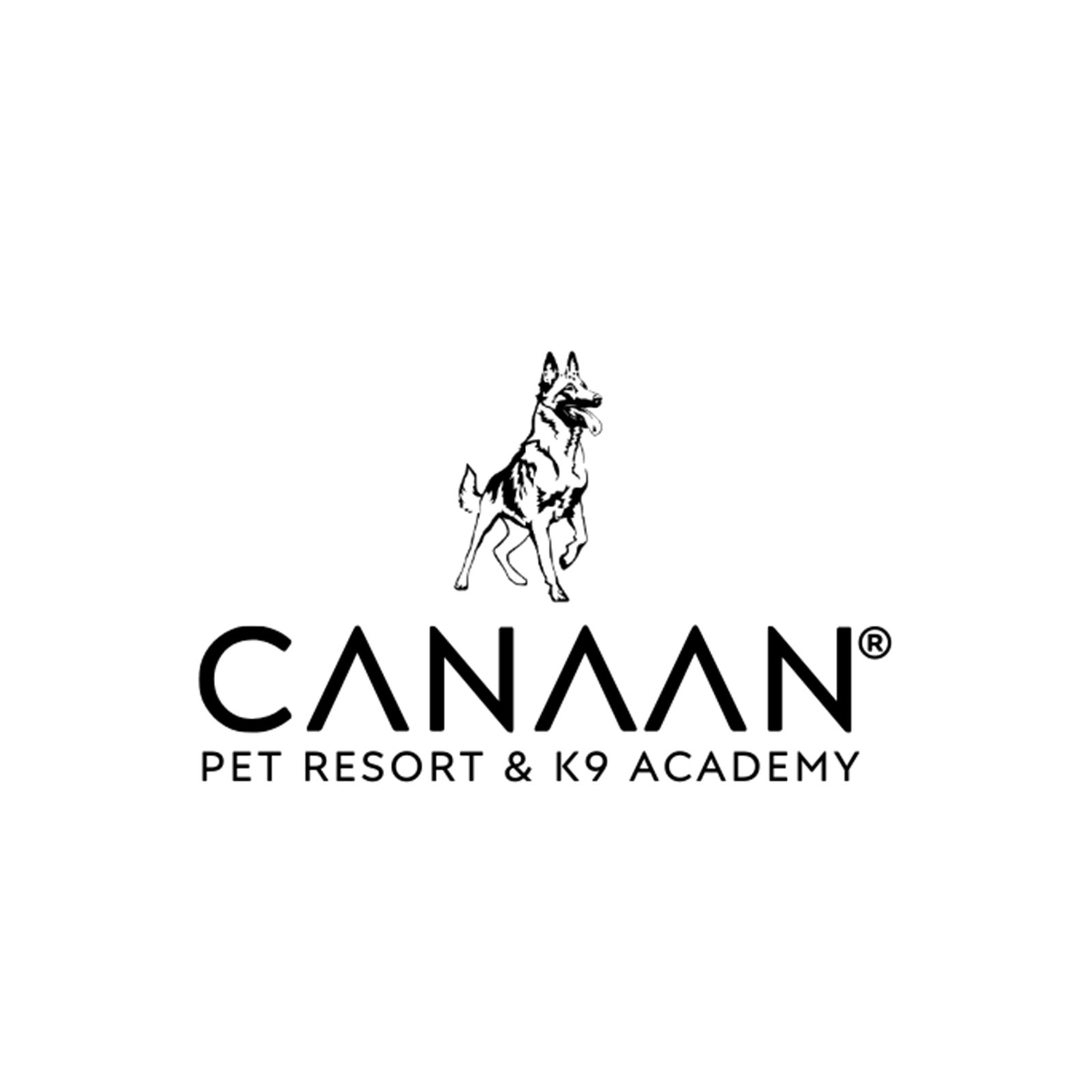 Canaan Pet Resorts & K9 Academy