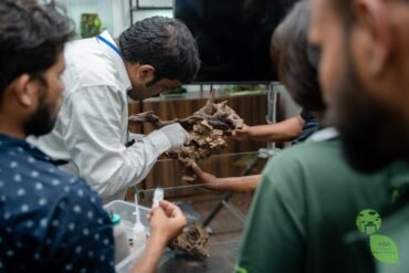 Live Aquascaping Workshop