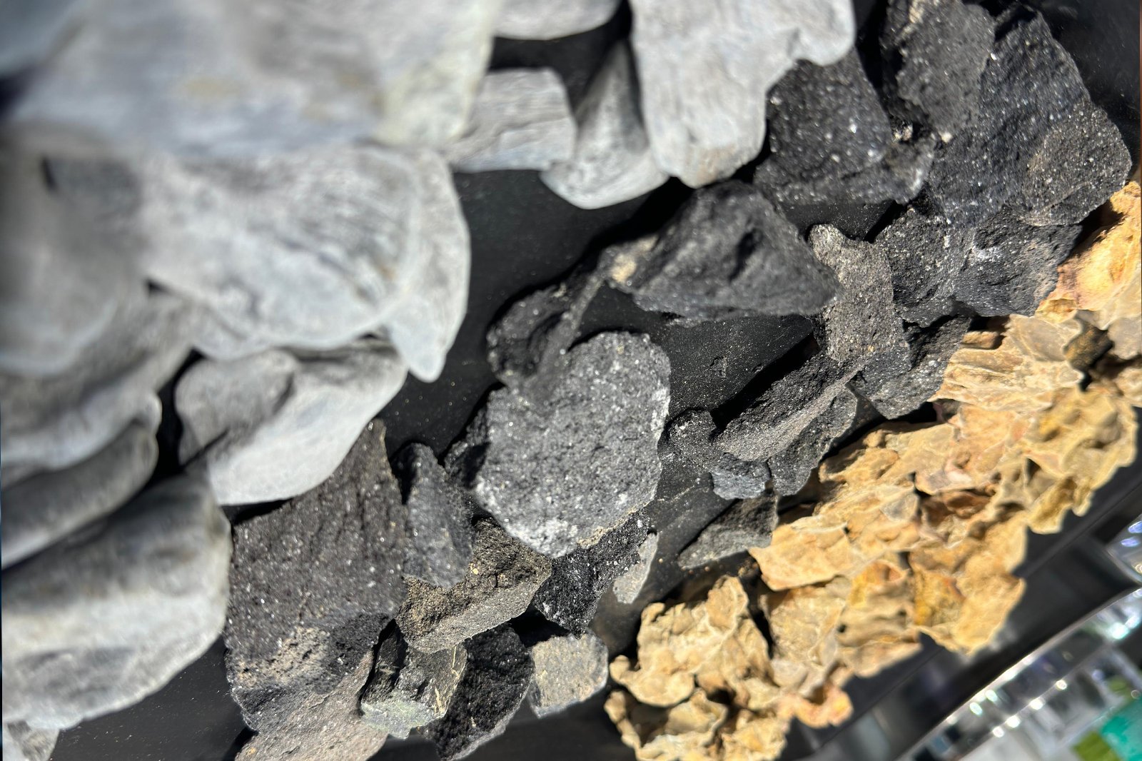 Hardscape Competition