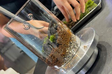 Mini Paludarium Workshop - Create it and Take it.