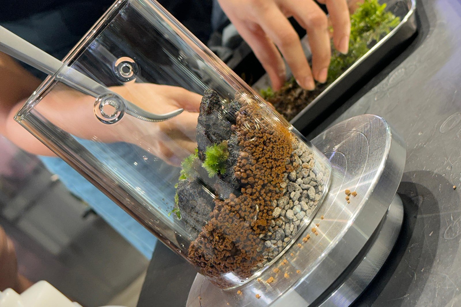 Mini Paludarium Workshop - Create it and Take it.