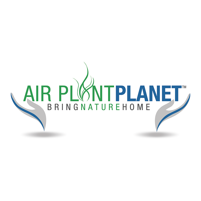 Air Plant Planet Logo PDF