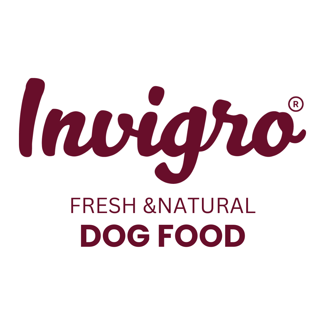 INVIGRO R LOGO