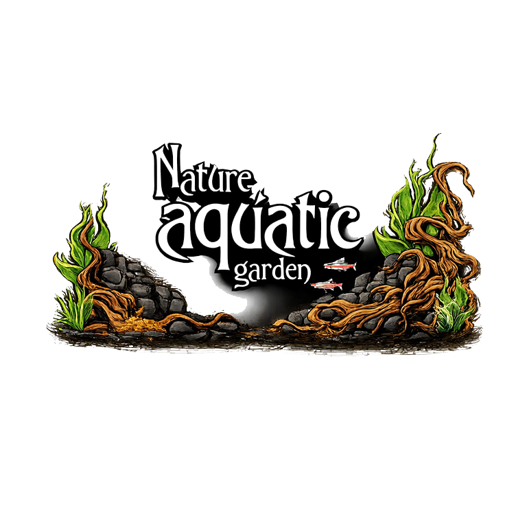 Nature aquatic garden